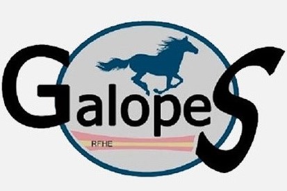 Pr&oacute;xima convocatoria de ex&aacute;menes galopes el d&iacute;a 4 de abril en el Club H&iacute;pico Cristina Ullate de Tafalla